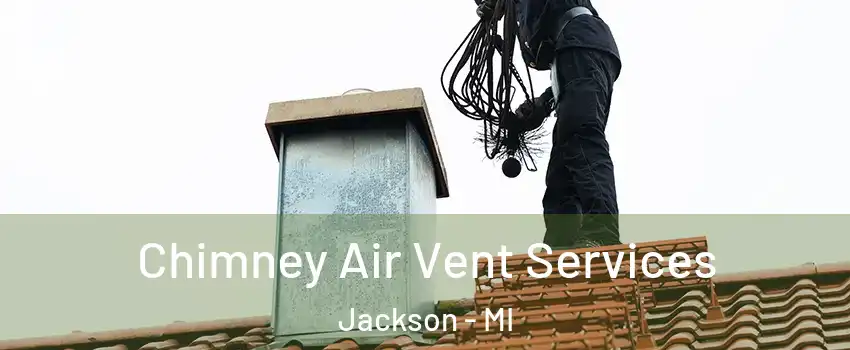  Chimney Air Vent Services Jackson - MI