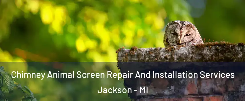  Chimney Animal Screen Repair And Installation Services Jackson - MI