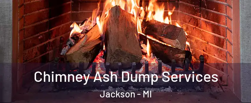  Chimney Ash Dump Services Jackson - MI