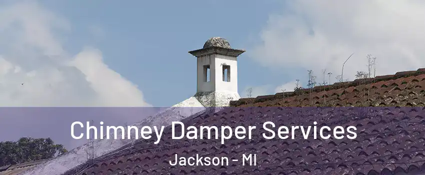  Chimney Damper Services Jackson - MI