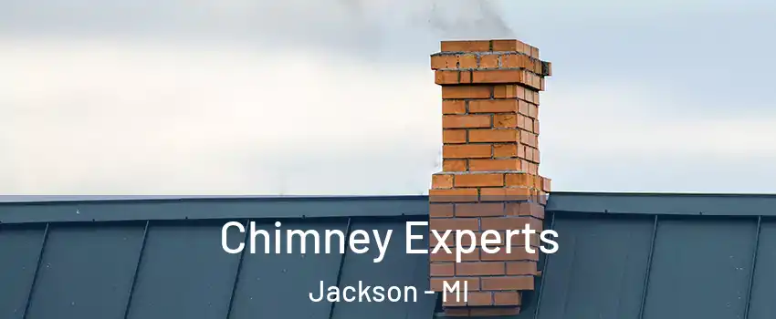Chimney Experts Jackson - MI