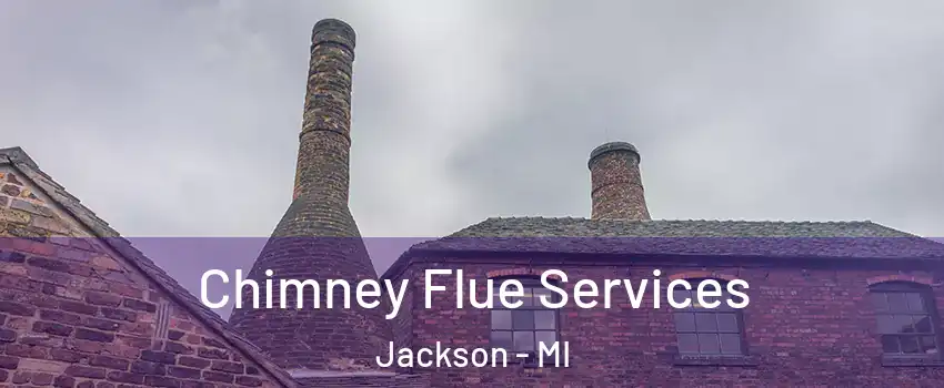  Chimney Flue Services Jackson - MI