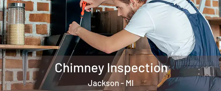  Chimney Inspection Jackson - MI