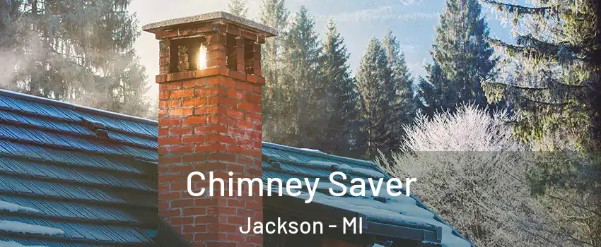  Chimney Saver Jackson - MI