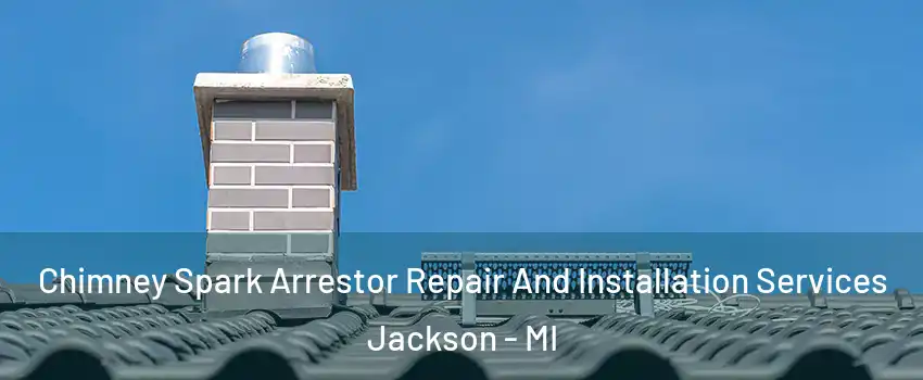  Chimney Spark Arrestor Repair And Installation Services Jackson - MI