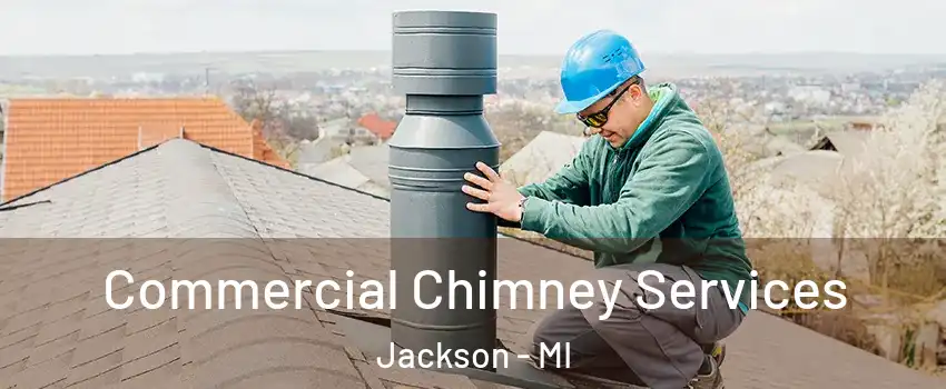  Commercial Chimney Services Jackson - MI