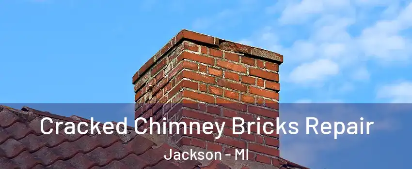  Cracked Chimney Bricks Repair Jackson - MI