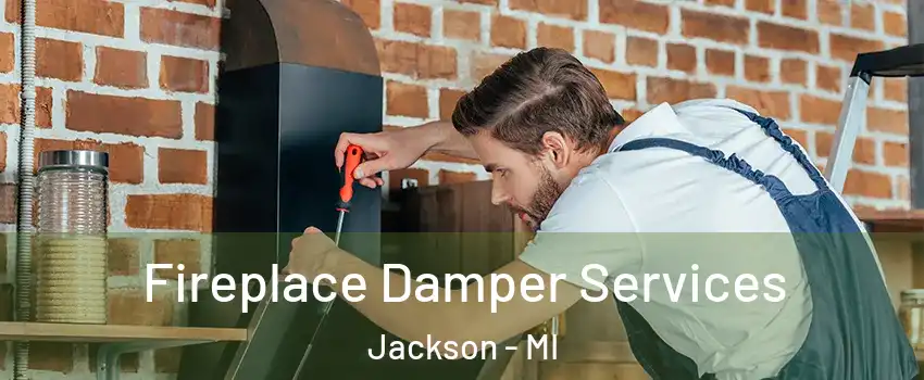  Fireplace Damper Services Jackson - MI