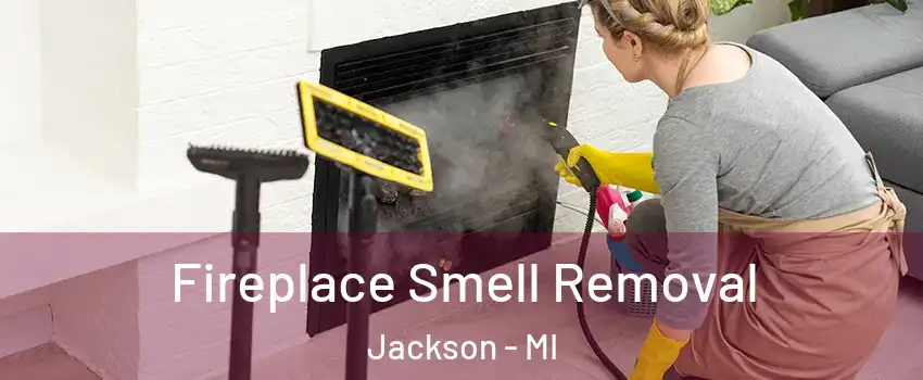  Fireplace Smell Removal Jackson - MI