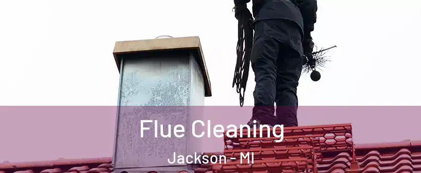  Flue Cleaning Jackson - MI
