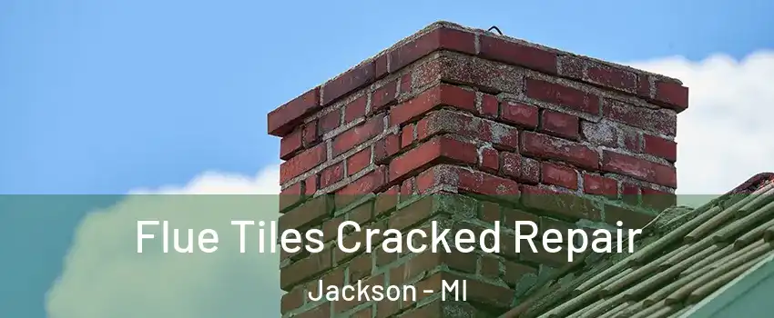  Flue Tiles Cracked Repair Jackson - MI