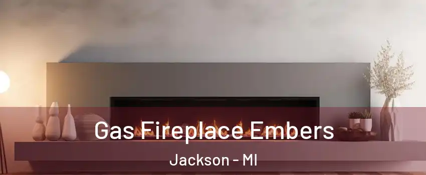  Gas Fireplace Embers Jackson - MI