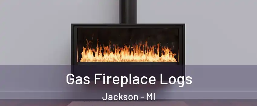  Gas Fireplace Logs Jackson - MI