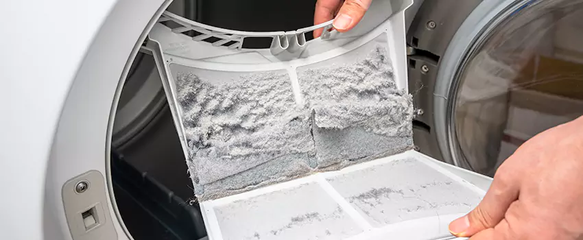 Best Dryer Lint Removal Company in Jackson, Michigan