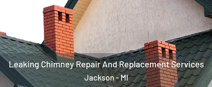  Leaking Chimney Repair And Replacement Services Jackson - MI
