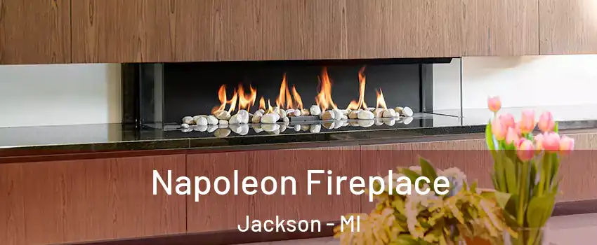  Napoleon Fireplace Jackson - MI