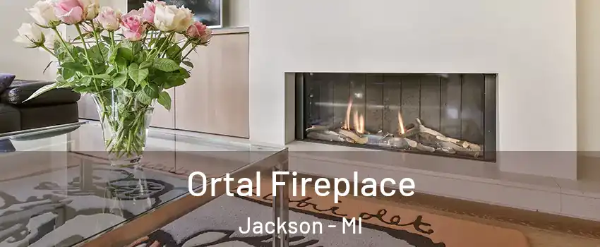 Ortal Fireplace Jackson - MI