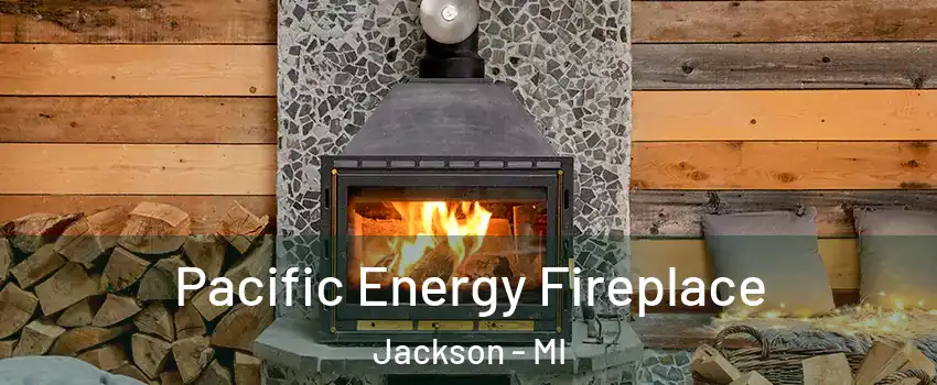  Pacific Energy Fireplace Jackson - MI