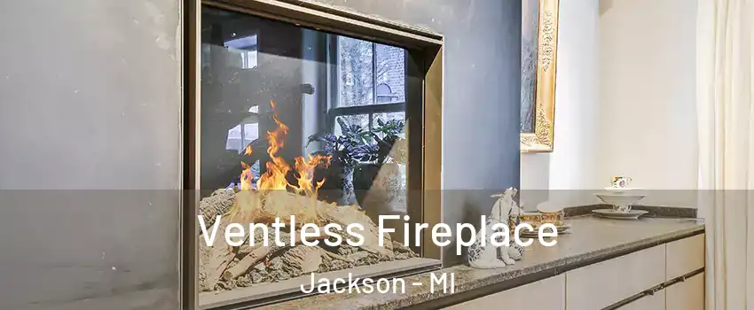 Ventless Fireplace Jackson - MI